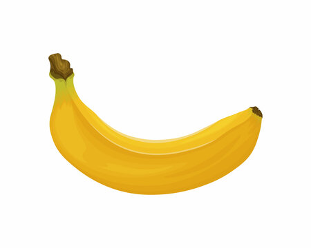 Banana. Image of a banana. Ripe tropical fruit. Ripe banana. Vector illustration isolated on a white background