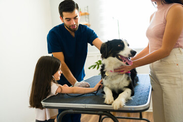 Young girl with her border collie dog at the vet