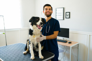 Attractive vet with a beautiful border collie dog at the hospital