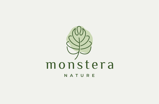philodendron soil mix Monstera & Philodendron Soil Mix – The Watered Garden main image 1