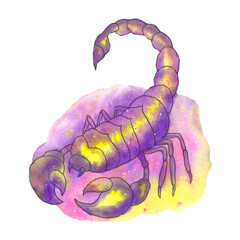 Watercolor painted scorpion, desert insect, animal painted with paints, colorful scorpion, zodiac sign, rainbow colors, large claws, design for sticker, print on clothes