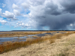 flooded lake shore, overgrown with last year's reeds and bushes, bird migration, beautiful cumulus...