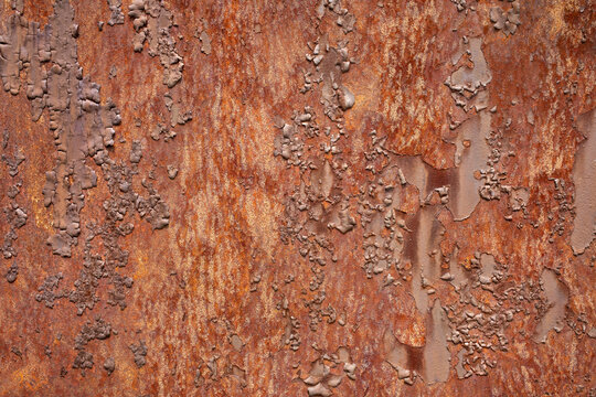 Old rusty metal background with peeling paint