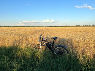 Electric bicycle stands near ripe wheat field against blue sky.