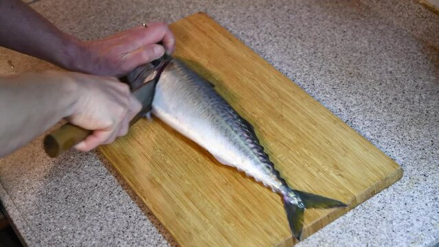 魚を捌く男性の手元