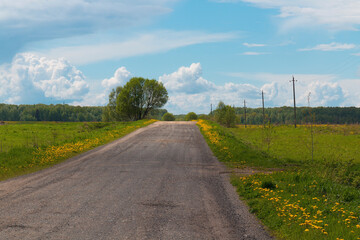 An empty country road in front of cumulus clouds above a forest by summer day