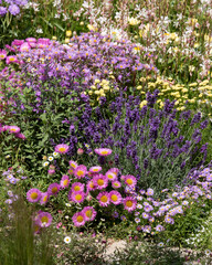 Variety of colourful flowers in a flower bed, photographed at the Hampton Court Flower Show, East Molesey, UK.