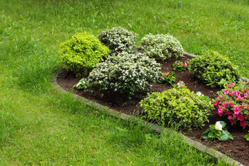 Beautiful flowerbed with different plants outdoors. Gardening and landscaping