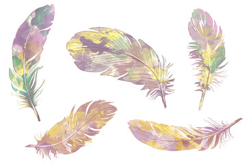 Many beautiful feather on white background, illustration