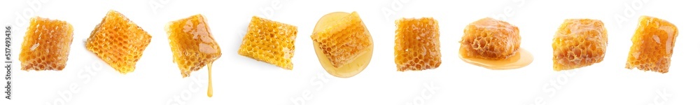 Canvas Prints Set with fresh delicious honeycombs on white background. Banner design