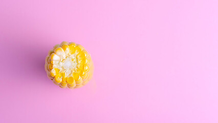 Harvest, ripe corn on a blue-pink background