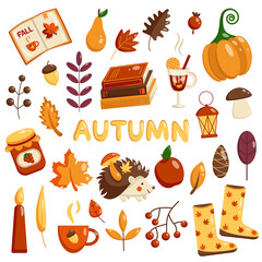 Set of autumn elements. Vector flat collection of autumn leaves and forest icons. Autumn foliage, books, pumpkin, acorn, mountain ash, maple, hedgehog, jam.