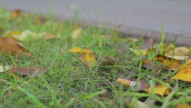 slow motion video. dangerously and carelessly discarded cigarette lies, smokes, smoulders on dry autumn grass and leaves, creating a dangerous fire situation in the city on the lawn