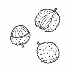 Lychee fruit graphic black white isolated sketch illustration vector in doodle style