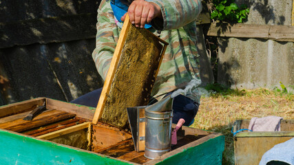 The beekeeper works in the apiary. Beehive and honey production.