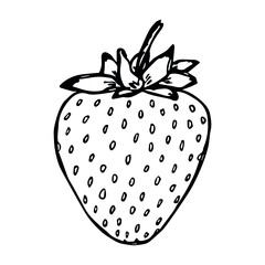 Vector strawberry clipart. Hand drawn berry icon. Fruit illustration. For print, web, design, decor, logo.