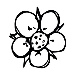 Vector strawberry flower clipart. Hand drawn blossom illustration. For print, web, design, decor, logo.