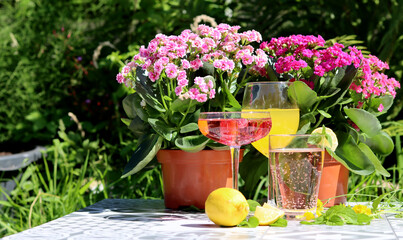 Mango, strawberry cocktails and rose lemonade on a garden table. Summer cocktails close up photo. Refreshing drinks in different glasses. 