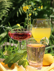 Colorful refreshing cocktails on garden table. Pink blossom of potted plants. Sunny weekend in the garden. 