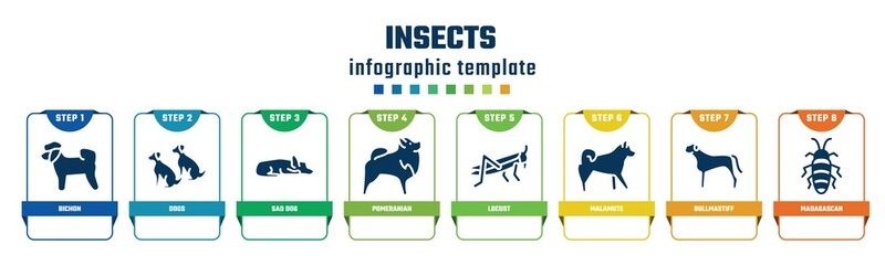 insects concept infographic design template. included bichon, dogs, sad dog, pomeranian, locust, malamute, bullmastiff, madagascan icons and 8 options or steps.