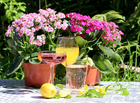 Refreshing summer cocktails on a garden table. Close up photo of glasses with various drinks. Party in a garden. 