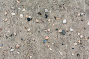 Sandy beach texture for background. Summer concept. Top view