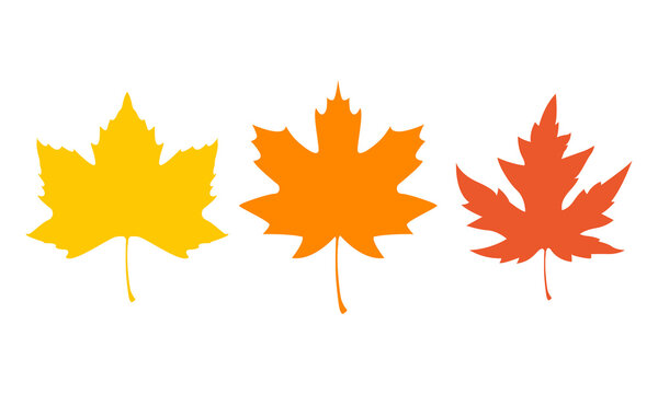 Autumn leaves Fall leaves - Autumn Vector and Clip Art 