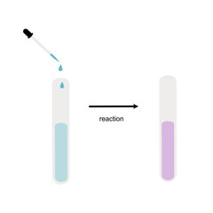 The chemical reaction that show the color changing after dropping the chemical substance