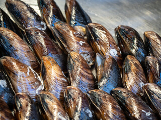 marinated mussels in close up
