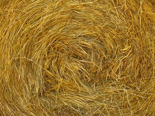 straw bale background