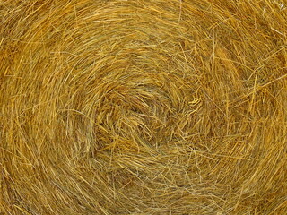 Straw bale background