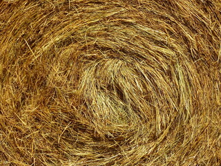 Bale of hay