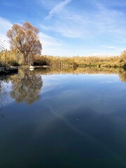 autumn trees reflected in water