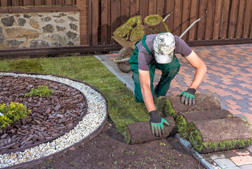 Gardener applying turf rolls in the backyard - obrazy, fototapety, plakaty