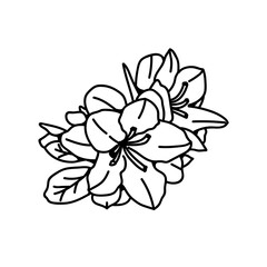 Sketch flower line art