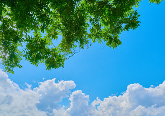 夏空イメージ