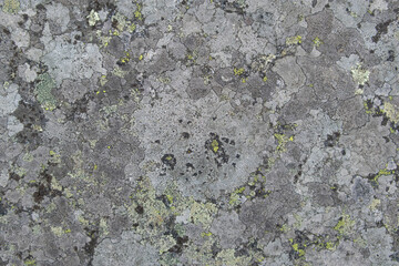 Gray natural stone texture with light moss. Stone background texture.