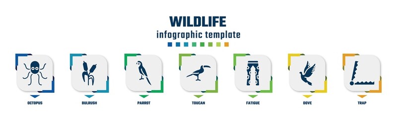 wildlife concept infographic design template. included octopus, bulrush, parrot, toucan, fatigue, dove, trap icons and 7 option or steps.