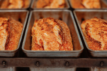 freshly baked bread in molds on the table in bakery
