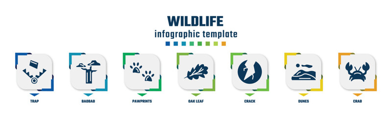 wildlife concept infographic design template. included trap, baobab, pawprints, oak leaf, crack, dunes, crab icons and 7 option or steps.