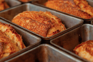 freshly baked bread in molds on the table in bakery