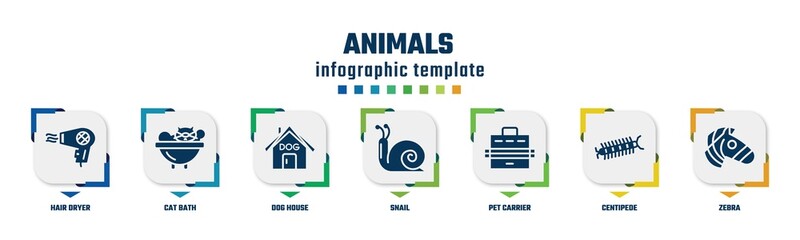 animals concept infographic design template. included hair dryer, cat bath, dog house, snail, pet carrier, centipede, zebra icons and 7 option or steps.