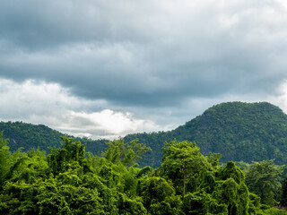 Fototapeta na wymiar Beautiful landscape of green forest and mountain view and tropical rain-forest with clouds after raining in the morning. Green nature earth and ecology.