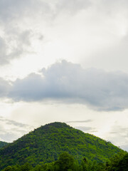 Beautiful landscape of green forest mountain view and tropical rain-forest with clouds after raining in the morning. Green nature earth and ecology, vertical style.