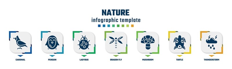 nature concept infographic design template. included cardinal, penguin, ladybug, dragon fly, mushroom, turtle, thunderstorm icons and 7 option or steps.