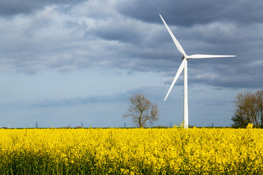 Wind ist unsere Zukunft
