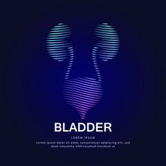 Human bladder medical structure. Vector logo bladder color silhouette on a dark background. Urinary tract logo vector template suitable for organization, company, or community. EPS 10 - obrazy, fototapety, plakaty
