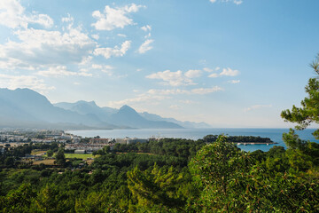 Fototapeta premium Nature