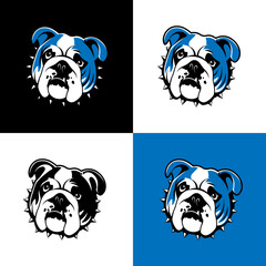 Buldog collage of 4 images.