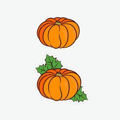 Pumpkin. Vegetable. Colored sticker. Vector illustration.